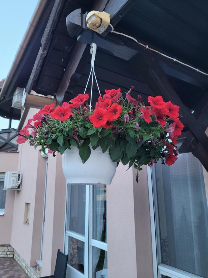 Anda Vendeghaz Hotel Harkany Bagian luar foto