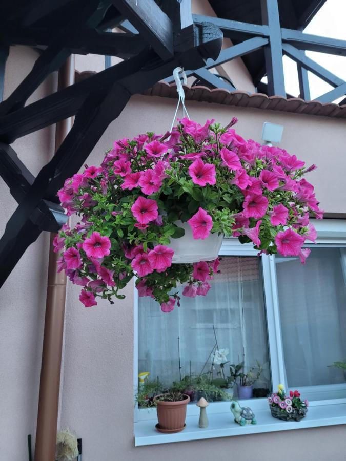Anda Vendeghaz Hotel Harkany Bagian luar foto